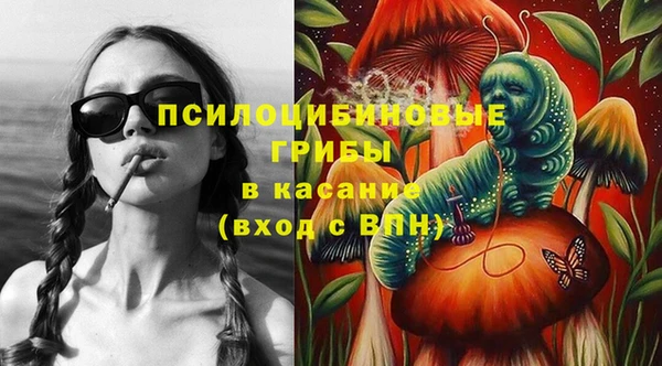 гидра Сосновый Бор