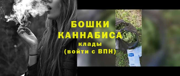 гидра Сосновый Бор