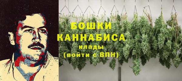 гидра Сосновый Бор