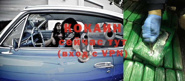 гидра Сосновый Бор