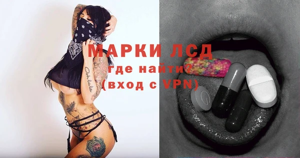 гидра Сосновый Бор